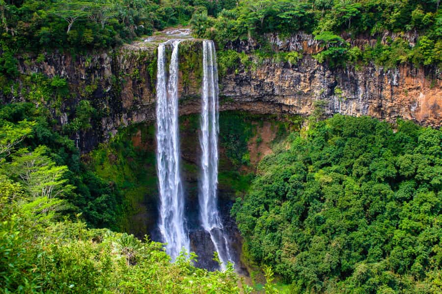 Mauritius: Private Full Day Tour with Entry Tickets & Lunch - Mare aux Vacoas and the cool Plaine Champagne Forest