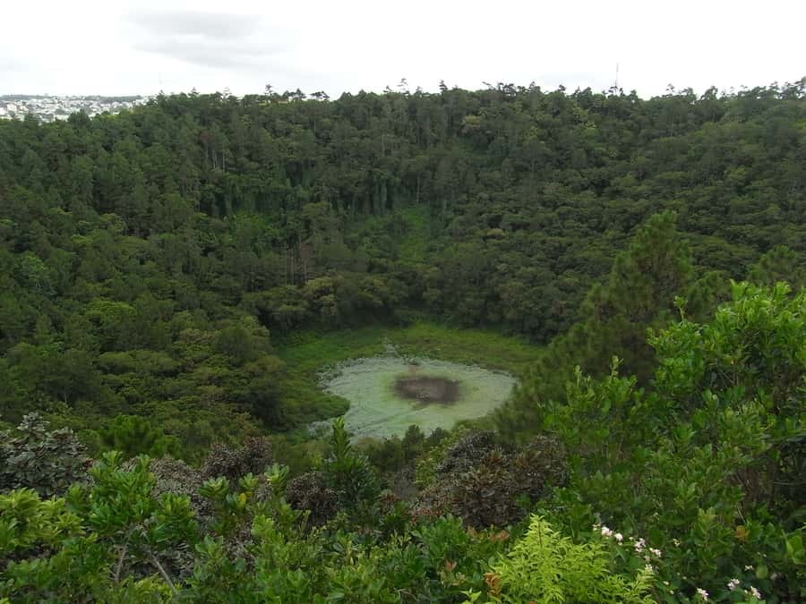 Mauritius: Private Full Day Tour with Entry Tickets & Lunch - Alexandra Falls, short walks, and broad views