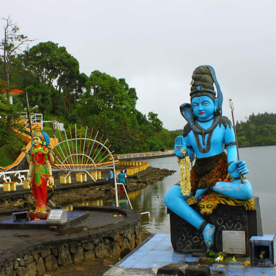Mauritius: Private Full Day Tour with Entry Tickets & Lunch - Black River Gorges and the feeling of the high country