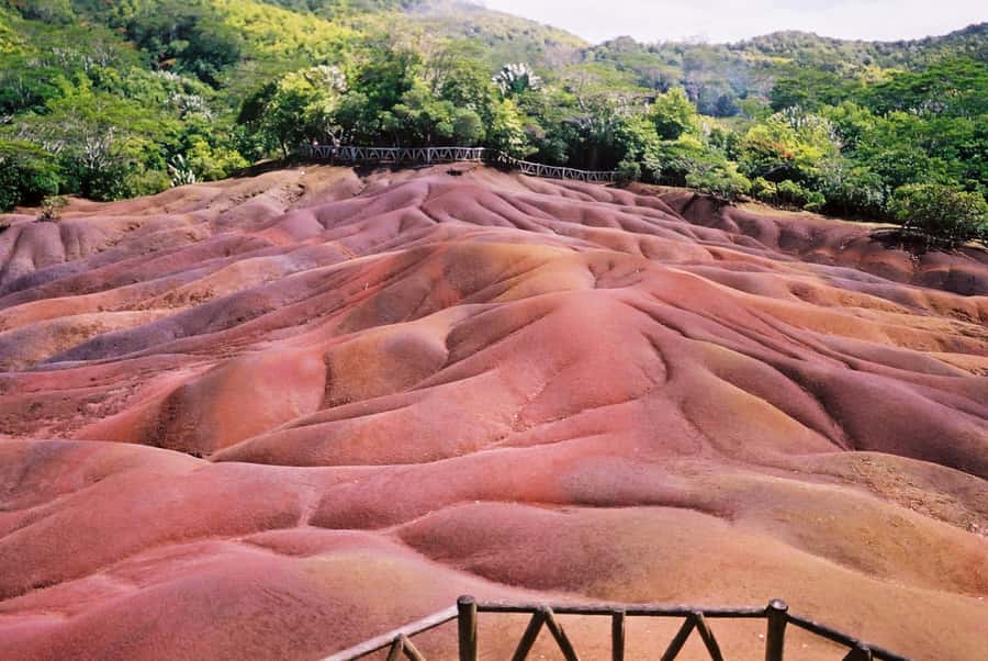 Mauritius: Private Full Day Tour with Entry Tickets & Lunch - The optional Rhumerie visit