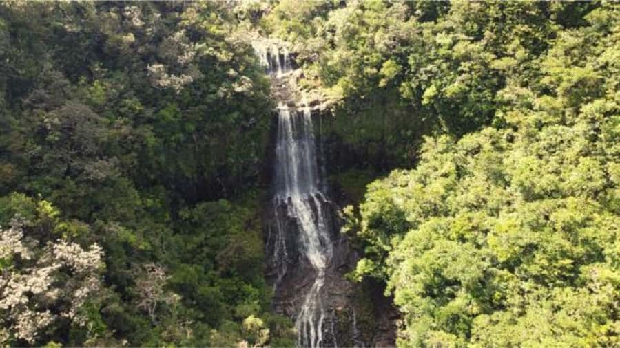 Mauritius: Private Guided South Tour with Pickup - Should you book it?