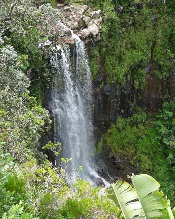 Mauritius: Private South Day Tour with Hotel Transfer - Lunch is flexible, but it is not included