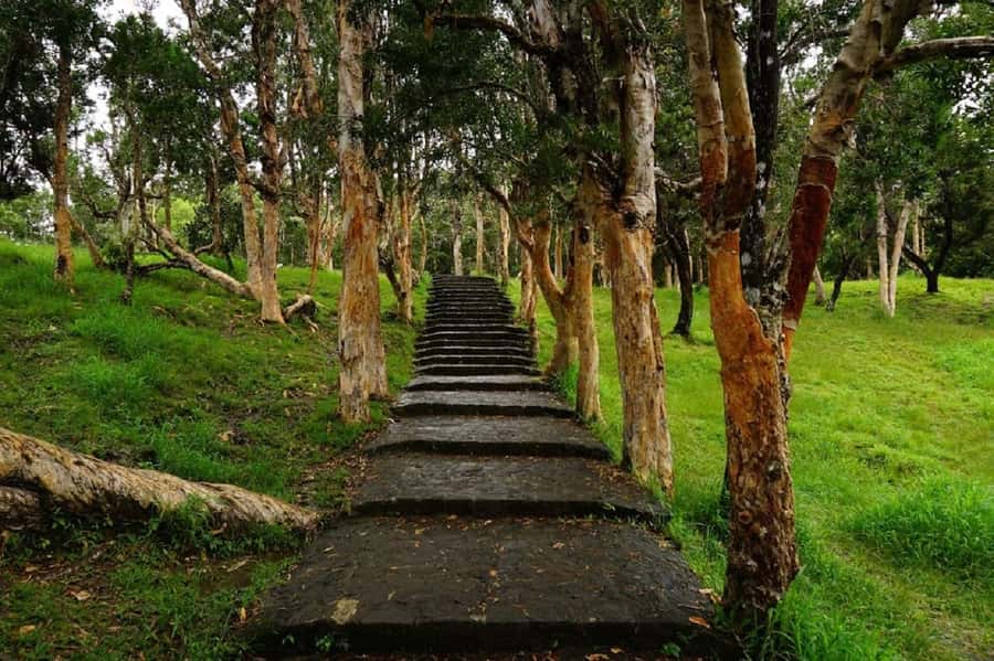 Mauritius: Private South Day Tour with Hotel Transfer - La Rhumerie de Chamarel and the rum tasting