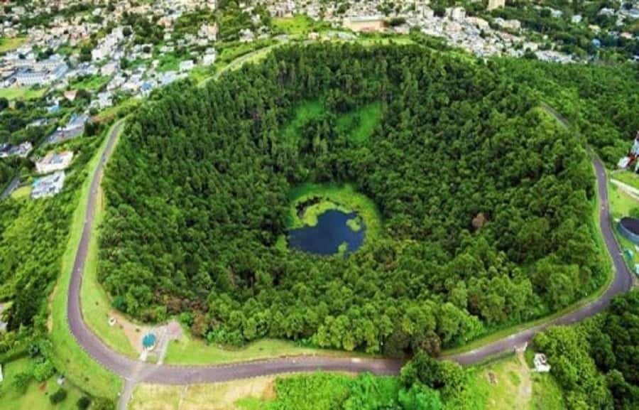 Mauritius: Private South Day Tour with Hotel Transfer - The guide can shape the entire day