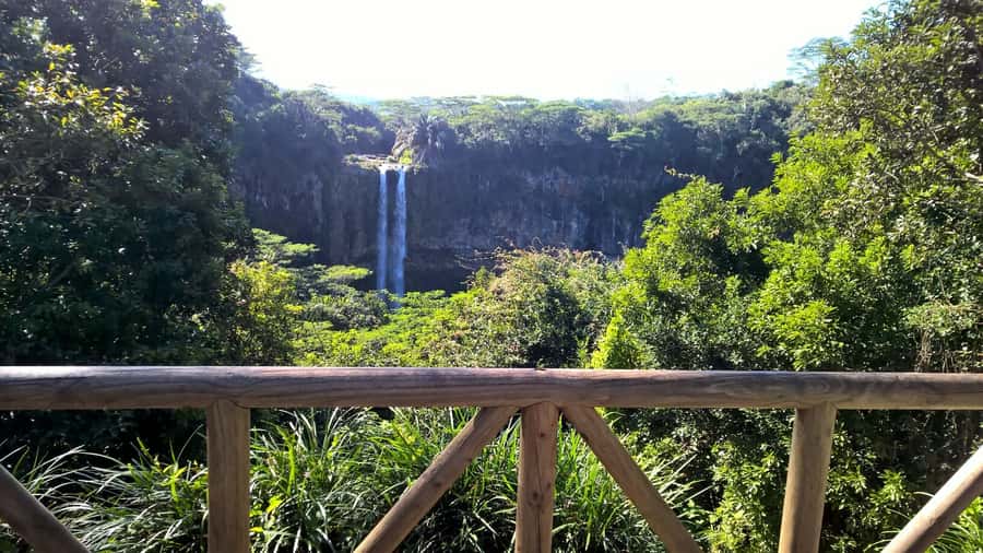 Mauritius: Private South Side and Dolphin Adventure Tour - Swimming with dolphins in open water