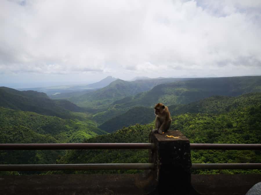 Mauritius: Private South Tour with Pickup - Why this southern Mauritius tour works