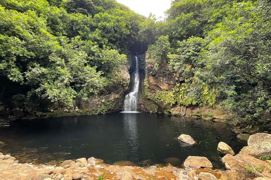 Mauritius: Private South-West Nature & Viewpoints with Lunch - The guide can make or break the day