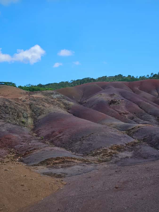 Mauritius: Private Southwest Chamarel Highlights Tour - The private car and guide make the difference
