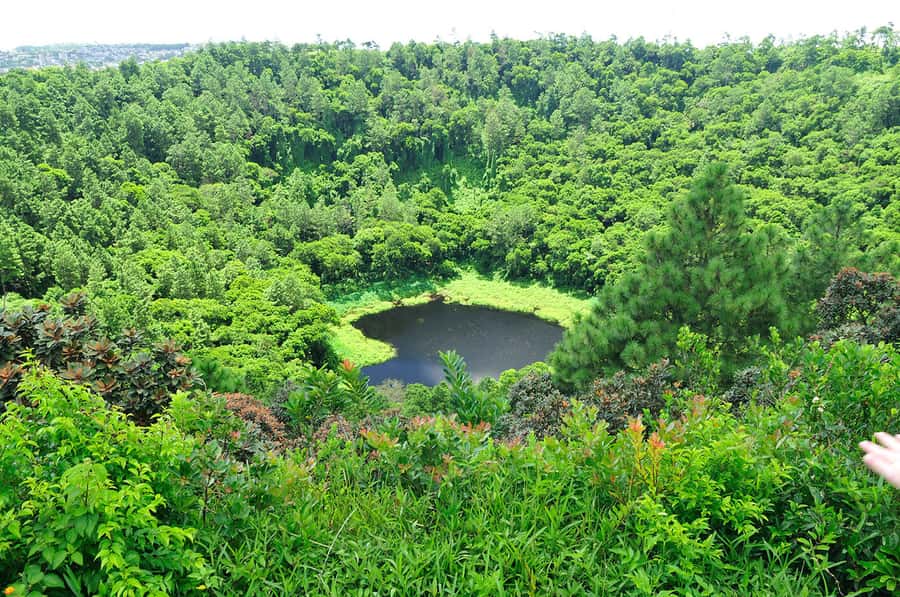 Mauritius: Private Southwest Chamarel Highlights Tour - Mare aux Vacoas and the road into the highlands