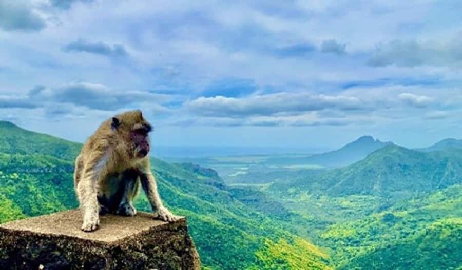 Mauritius: Private Southwest Day Tour - What to expect at the Chamarel rum stop