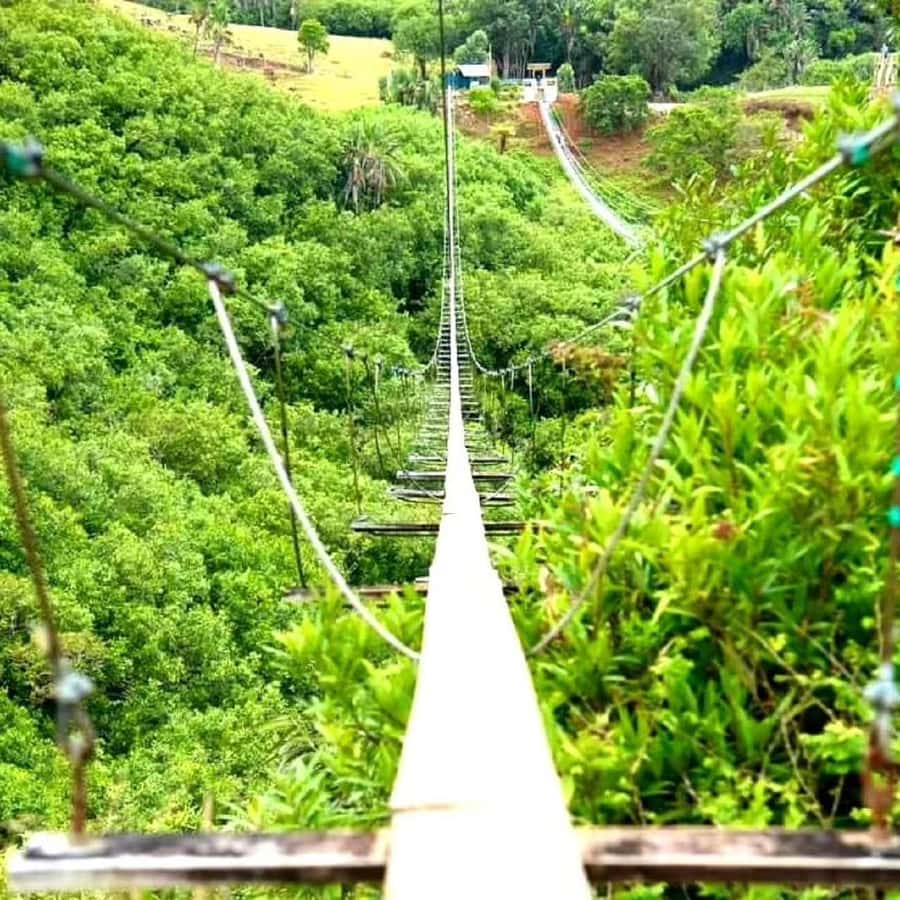 Mauritius: Private Southwest Day Tour - Trou aux Cerfs crater and the Curepipe view
