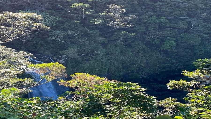 Mauritius: private southwest tour - Grand Bassin, Ganga Talao, and the Shiva temple