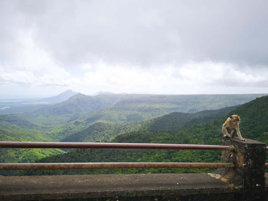 Mauritius: Private Southwest Tour with Pickup - A guide can make the difference
