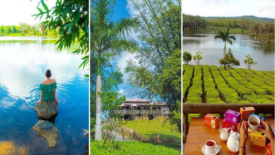 Mauritius : private wild south fullday tour - Key points to know before you book