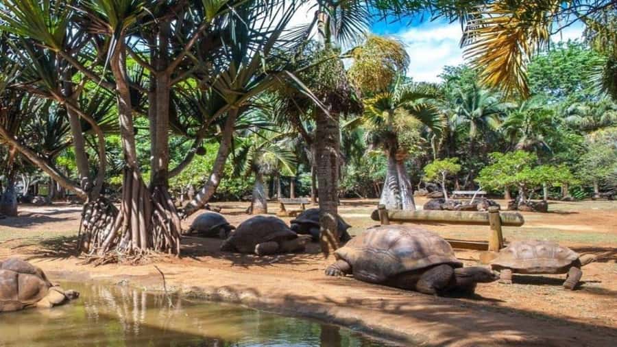 Mauritius : private wild south fullday tour - Why this private southern route works