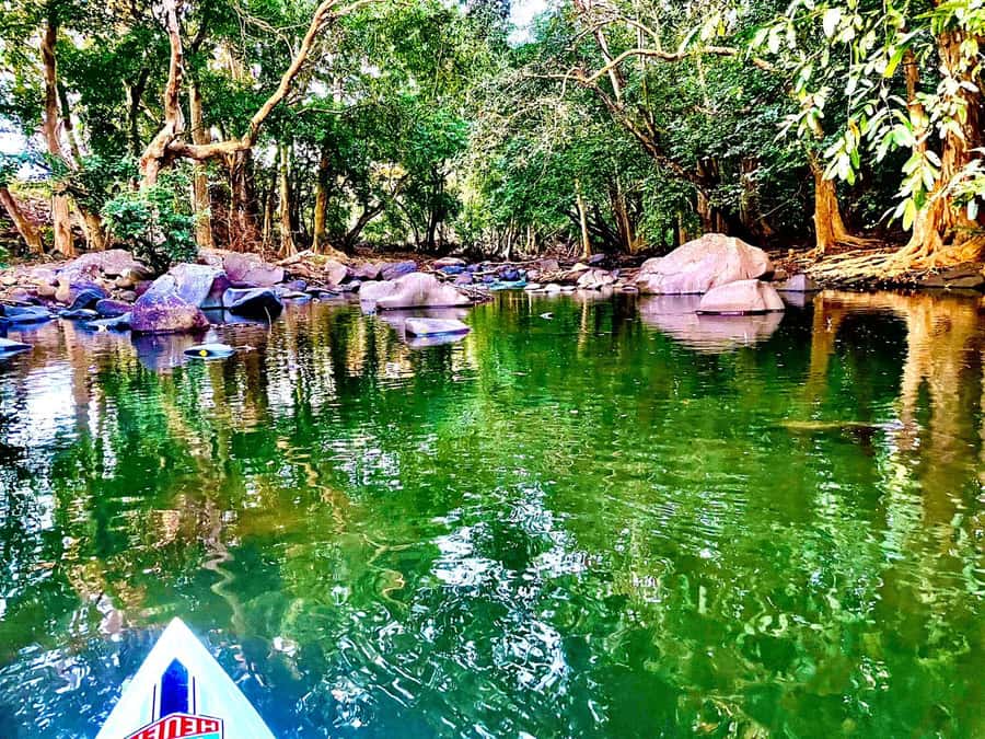 Mauritius: River Guided Kayak Tour with Monkeys - Tamarin, a photo stop, and the return