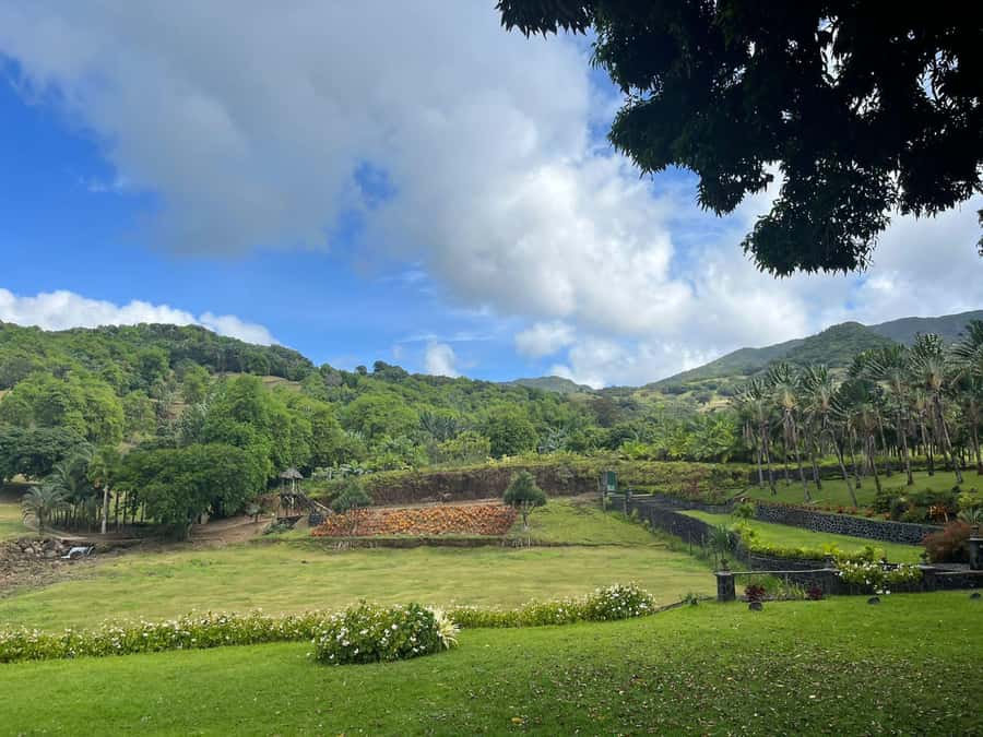 Mauritius: Scenic Bike Trails with Gear & Shuttle - Why Mo’Bike adds a new side to Mauritius