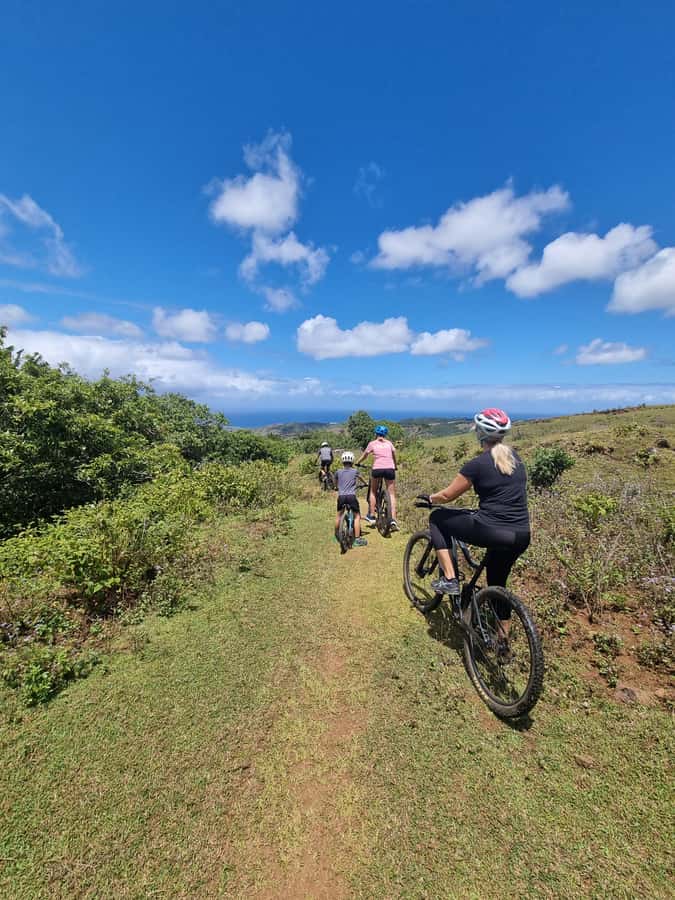 Mauritius: Scenic Bike Trails with Gear & Shuttle - Equipment, safety, and the learning curve
