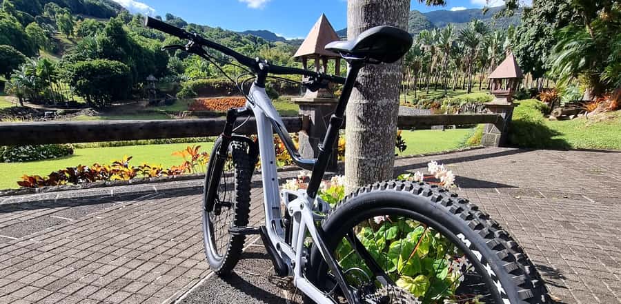Mauritius: Scenic Bike Trails with Gear & Shuttle - Is $70 good value?