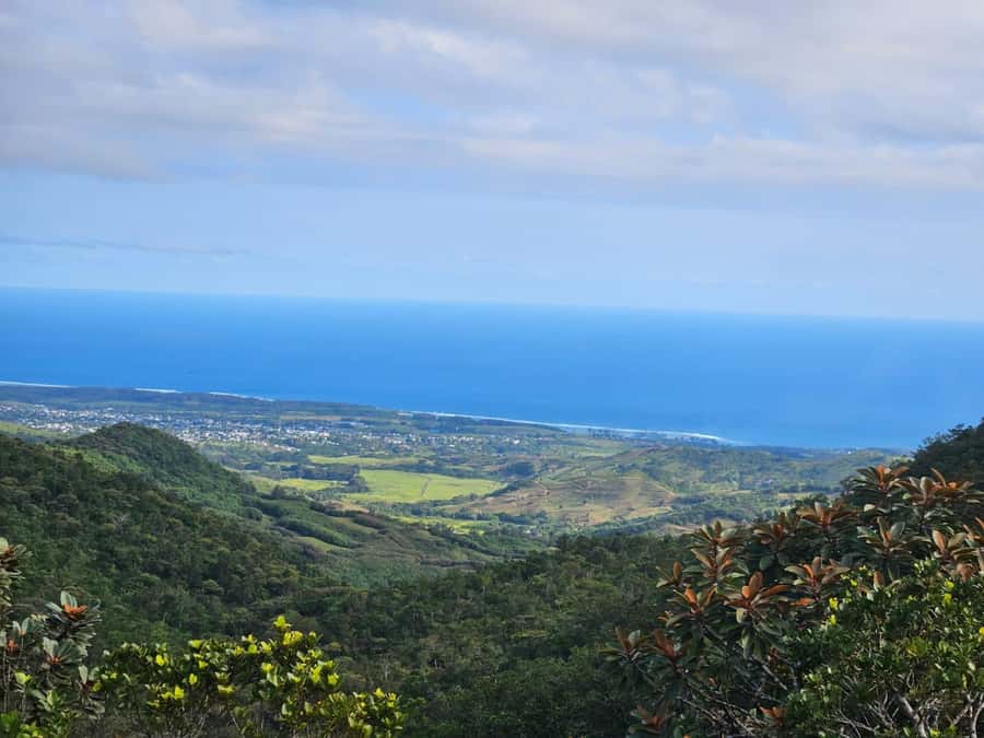 Mauritius: Sights of the South Private Tour with Rum Tasting - Chamarel Distillery and the rum tasting