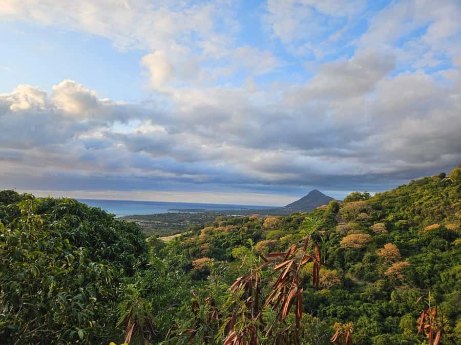 Mauritius: Sights of the South Private Tour with Rum Tasting - Alexandra Falls in Black River Gorges National Park
