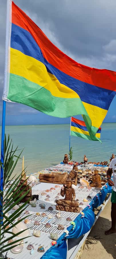 Mauritius: Snorkel and Swim with Dolphins on Speedboat Tour - The speedboat ride and Mauritius views