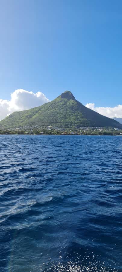 Mauritius: Snorkel and Swim with Dolphins on Speedboat Tour - Who should book this dolphin tour