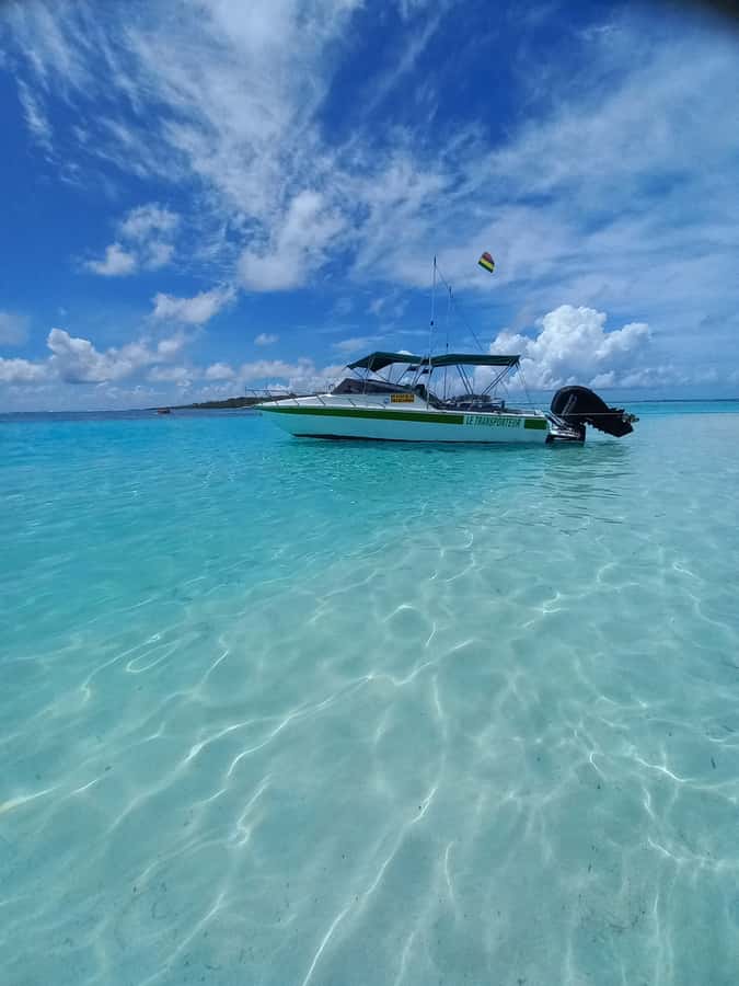 Mauritius: Snorkeling with turtles Le Transporteur speedboat - From Grand Baie beach to the open water