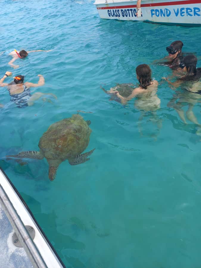 Mauritius: Snorkeling with turtles Le Transporteur speedboat - Why Trou aux Biches is the main attraction