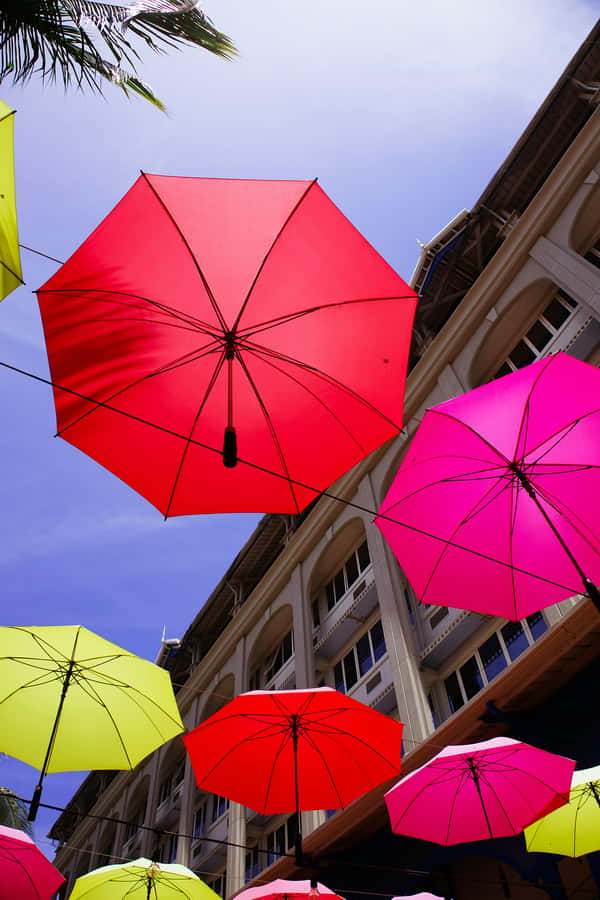 Mauritius: Snorkeling with Turtles & Port Louis Street Food - Two Mauritius experiences in five hours