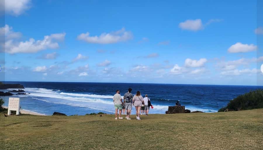 Mauritius: South Coast Tour with Tea Factory & Gris Gris - Macondé viewpoint and the famous bend