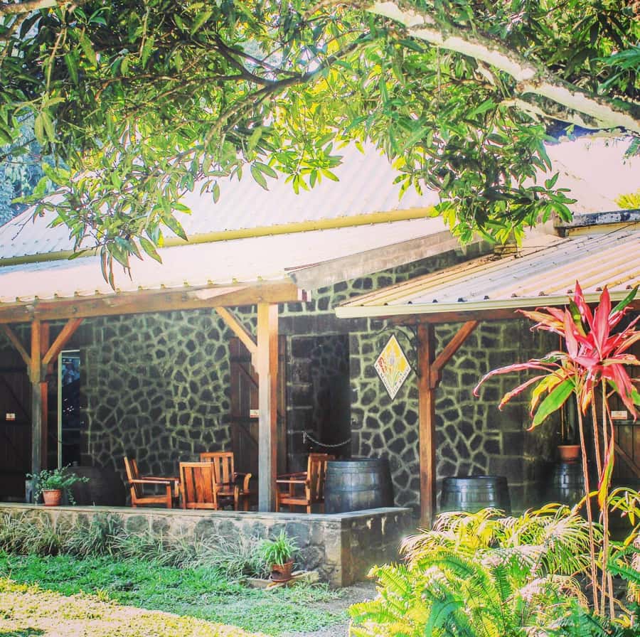 Mauritius: South of the Island Private Full-Day Tour - The three-course lunch is part of the value