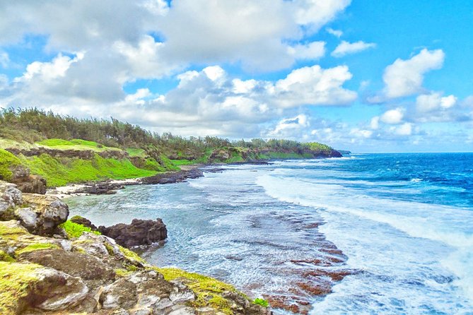 Mauritius South Tour Including Blue Bay Glass Bottom Boat & Snorkelling - La Vanille combines animals, plants, and insects