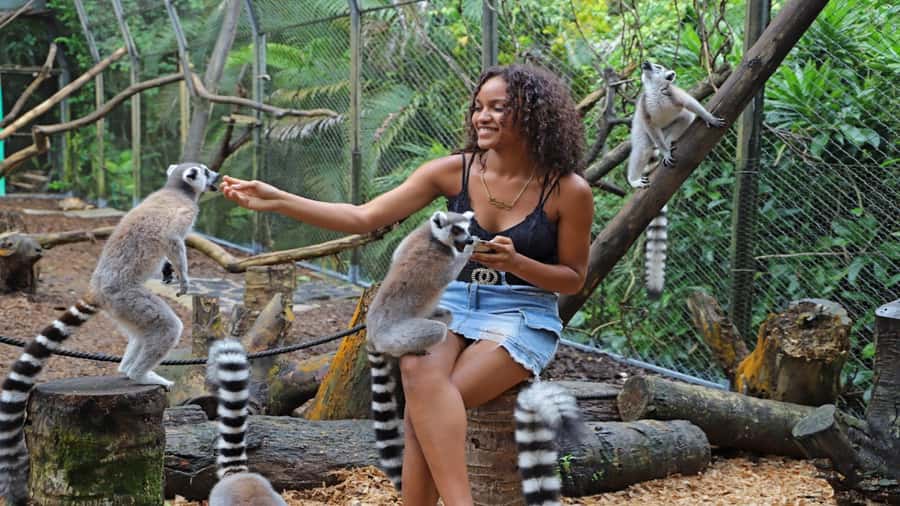 Mauritius: Southern Tour w/La Vanille & Le Morne Beach - Valle Advenature Park: pay extra for the action