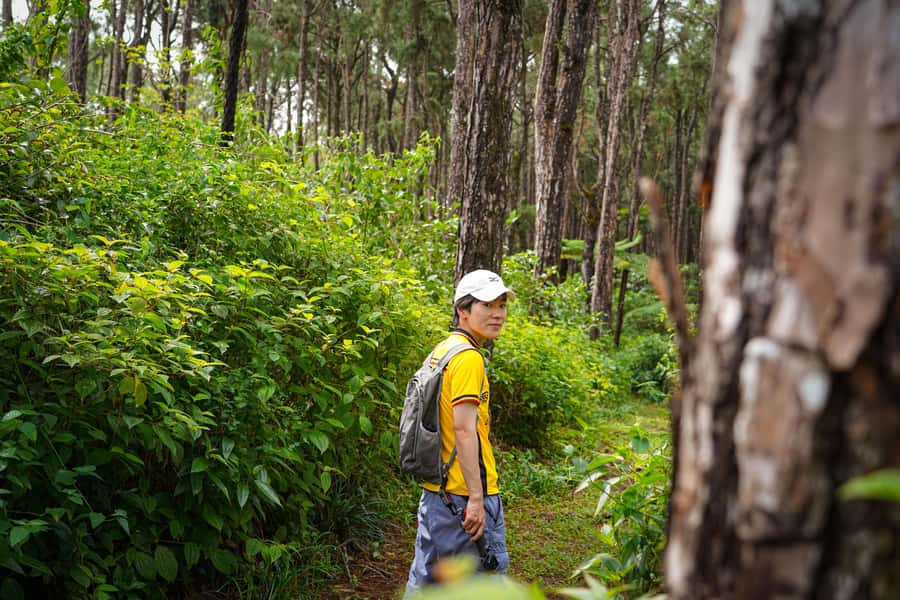 Mauritius: Sunrise Mountain Hike with Southwest Road-trip - Why the sunrise hike is the heart of the day