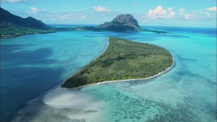 Mauritius: Swim with Dolphins Full-Day with Lunch/Drinks - Key points to know before booking