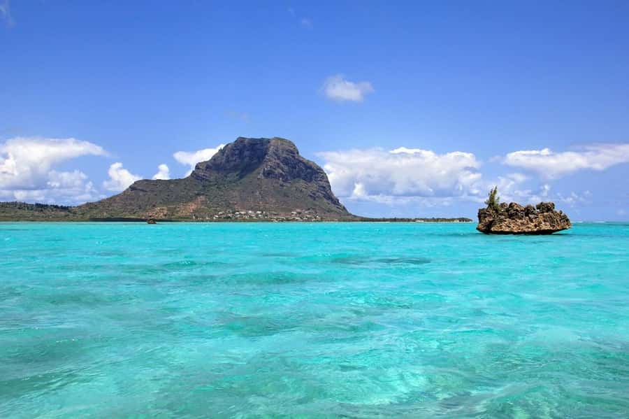 Mauritius: Swim with Dolphins Full-Day with Lunch/Drinks - The guides, safety, and language