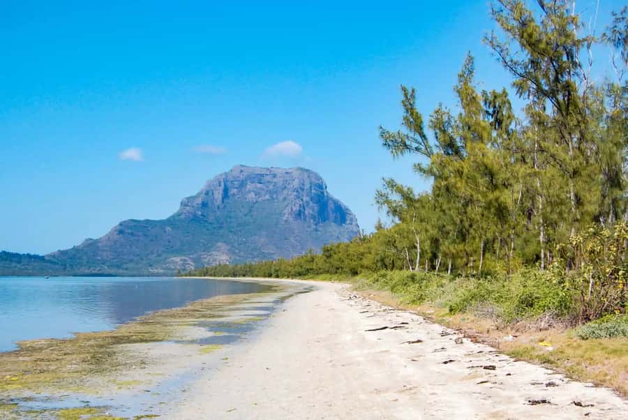 Mauritius: Swim with Dolphins Full-Day with Lunch/Drinks - Who will enjoy this day most