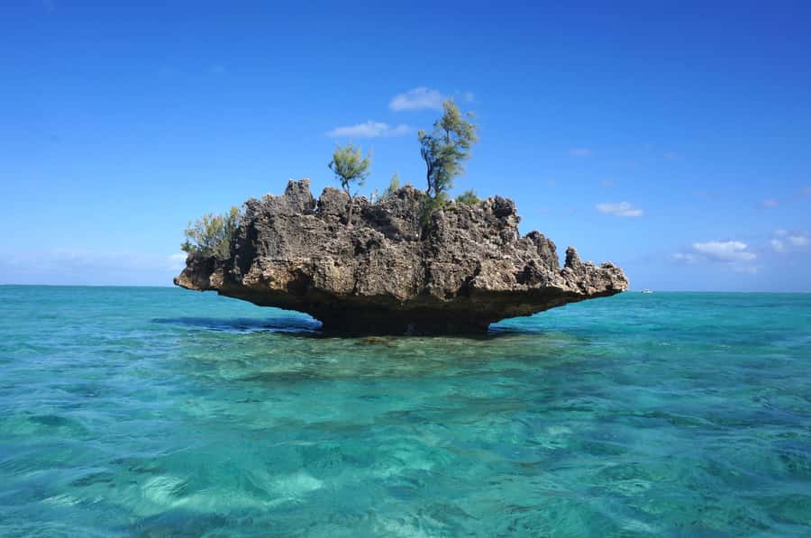 Mauritius: Swim with Dolphins Full-Day with Lunch/Drinks - Following dolphins along the west coast