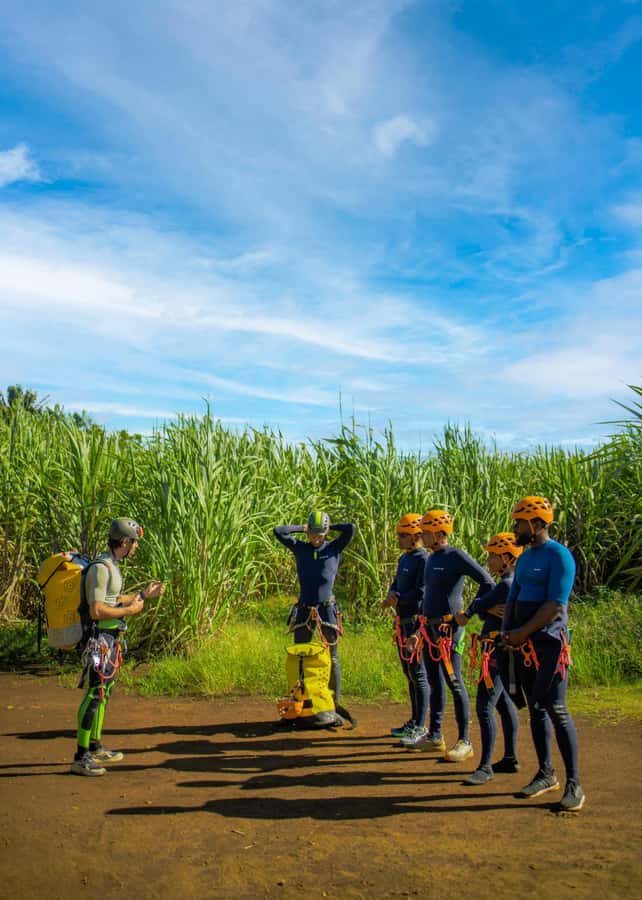 Mauritius: Tamarind Falls Canyoning Adventure - Pools, forest, and the parts between the ropes