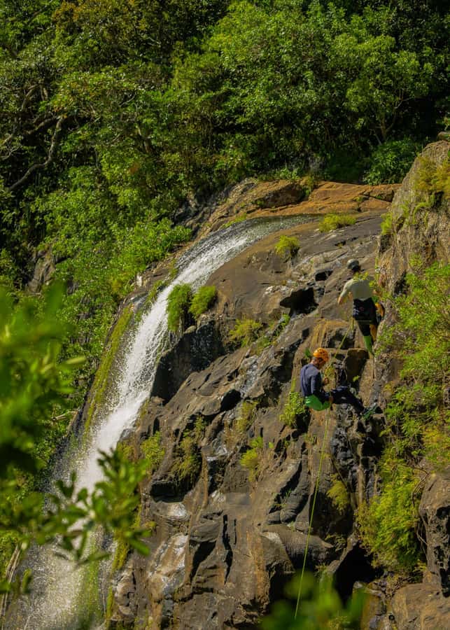 Mauritius: Tamarind Falls Canyoning Adventure - Safety, swimming, and physical demands