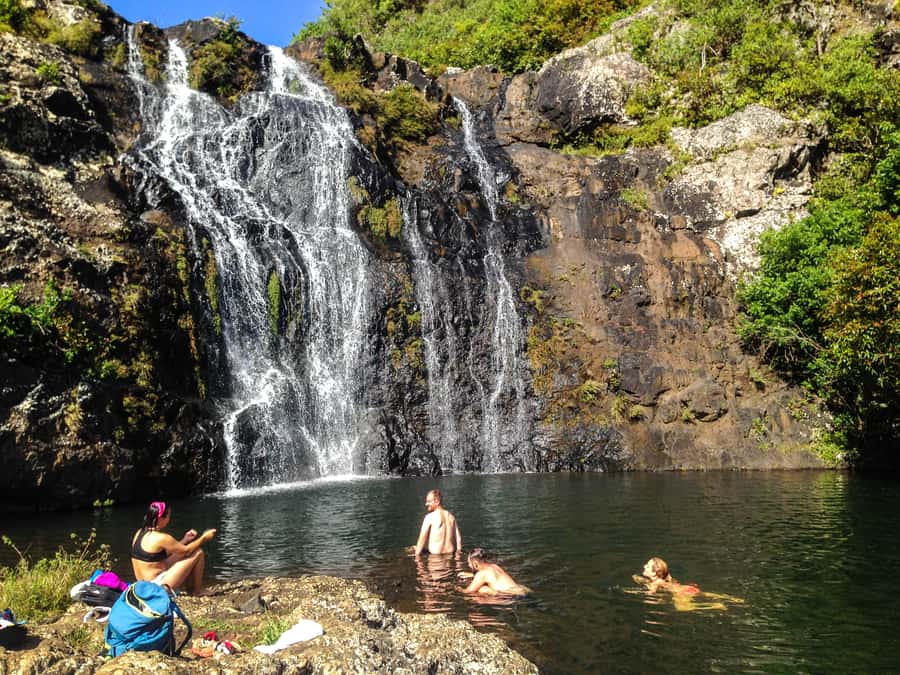 Mauritius: Tamarind Falls Highlights 3-Hour Hiking Trip - Plants, Wildlife, and Mauritius Beyond the Falls