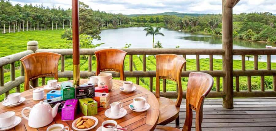 Mauritius: Tea and Sugar Plantation Guided Tour with Lunch - Bois Chéri, where tea becomes a finished product