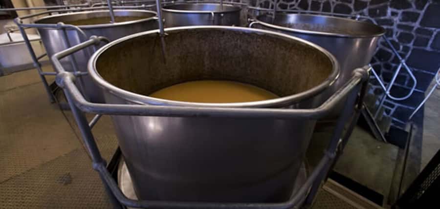 Mauritius: Tea and Sugar Plantation Guided Tour with Lunch - The guides can shape the whole day