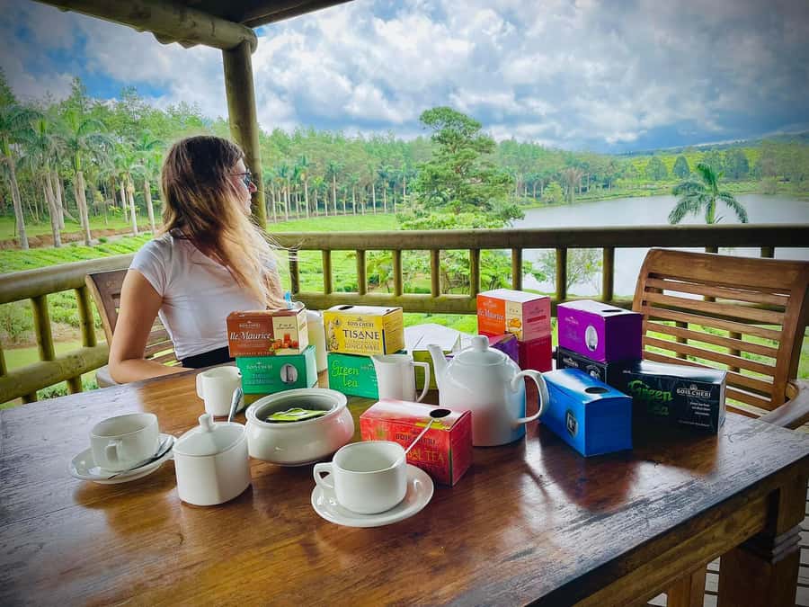 Mauritius: Tea, Rum and Vanilla Route with Lunch and Pickup - Three estates, four Mauritian flavors