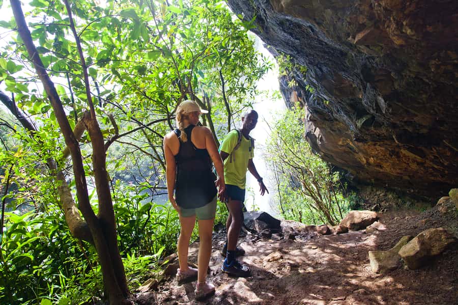 Mauritius: The Iconic Waterfalls hike + Mauritian picnic - Four waterfalls, forest paths, and gorge views