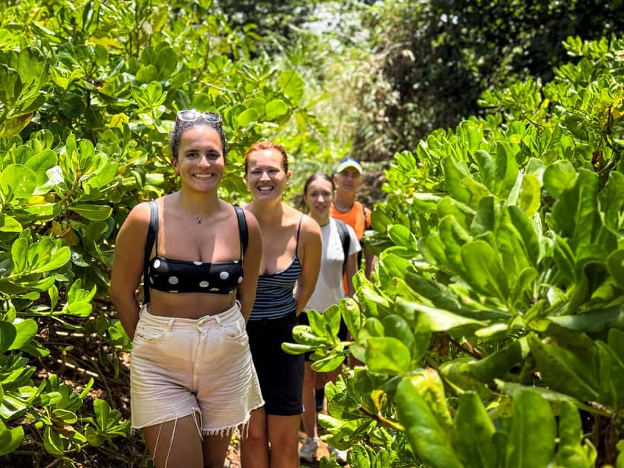 Mauritius: The Wild South Hiking Tour with a Guide - Gris Gris natural pool and the Atlantic swell
