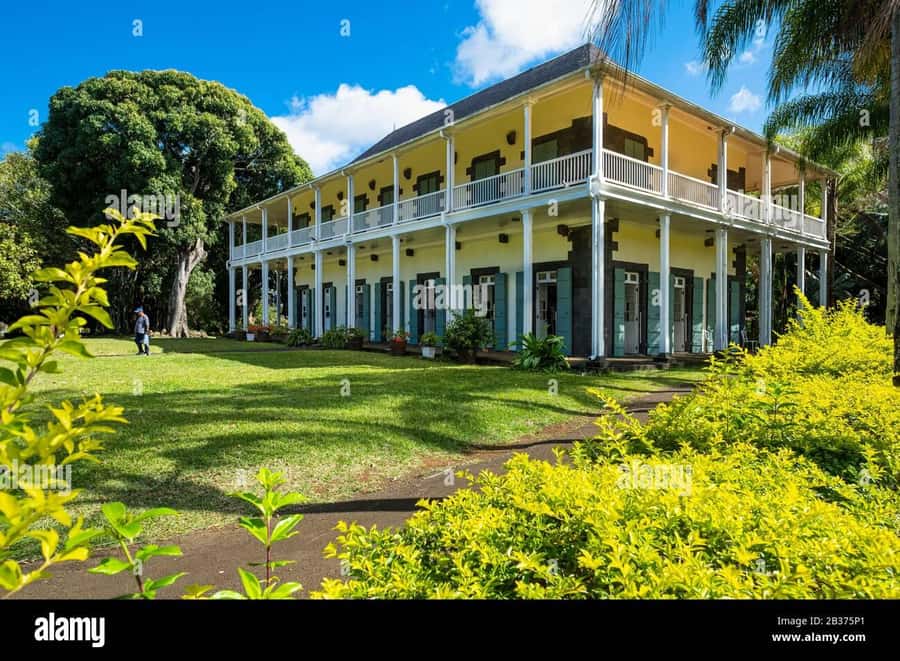 Mauritius: Turtle Swim and North Discovery Tour with Pickup - What $115 buys you