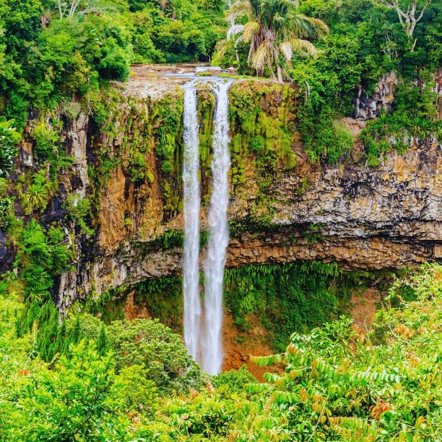 Mauritius: Underwater waterfall by Helicopter tour - Black River Gorges National Park from above