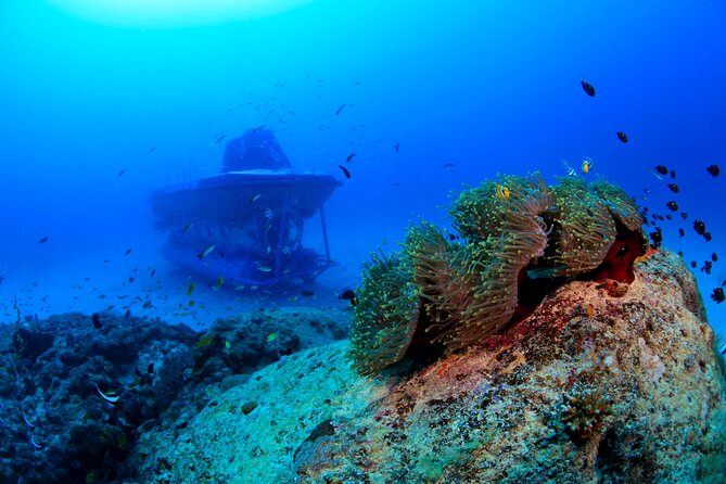 Mauritius Unique Submarine Tour - Starting at Blue Safari in Trou-aux-Biches